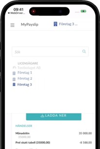 Företagsväljaren i Hogia MyPayslip