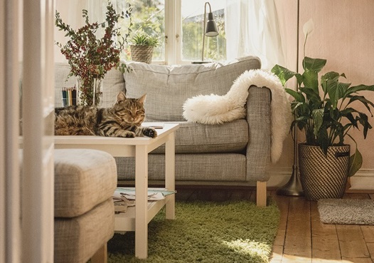 Kundcase Hogia Bokslut Koncern Främja